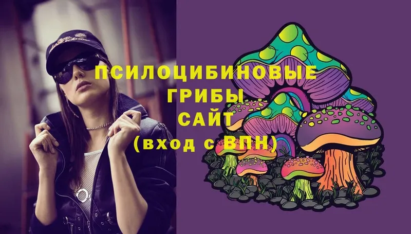 Галлюциногенные грибы Psilocybe  ссылка на мегу как войти  Шарыпово  где можно купить наркотик 